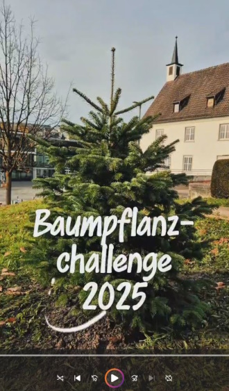 Baumpflanzchallenge - VID-20251116-WA0071